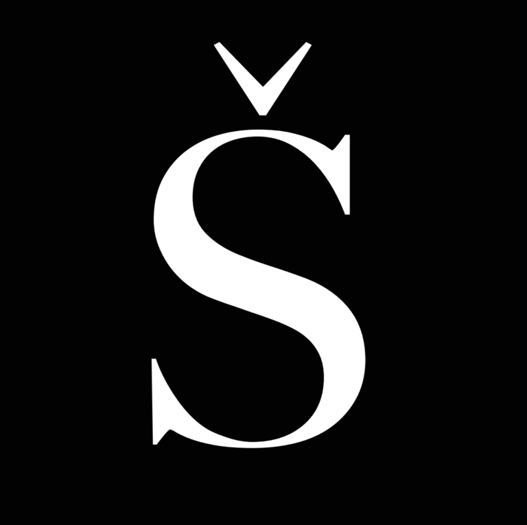 Štandard Intelligence