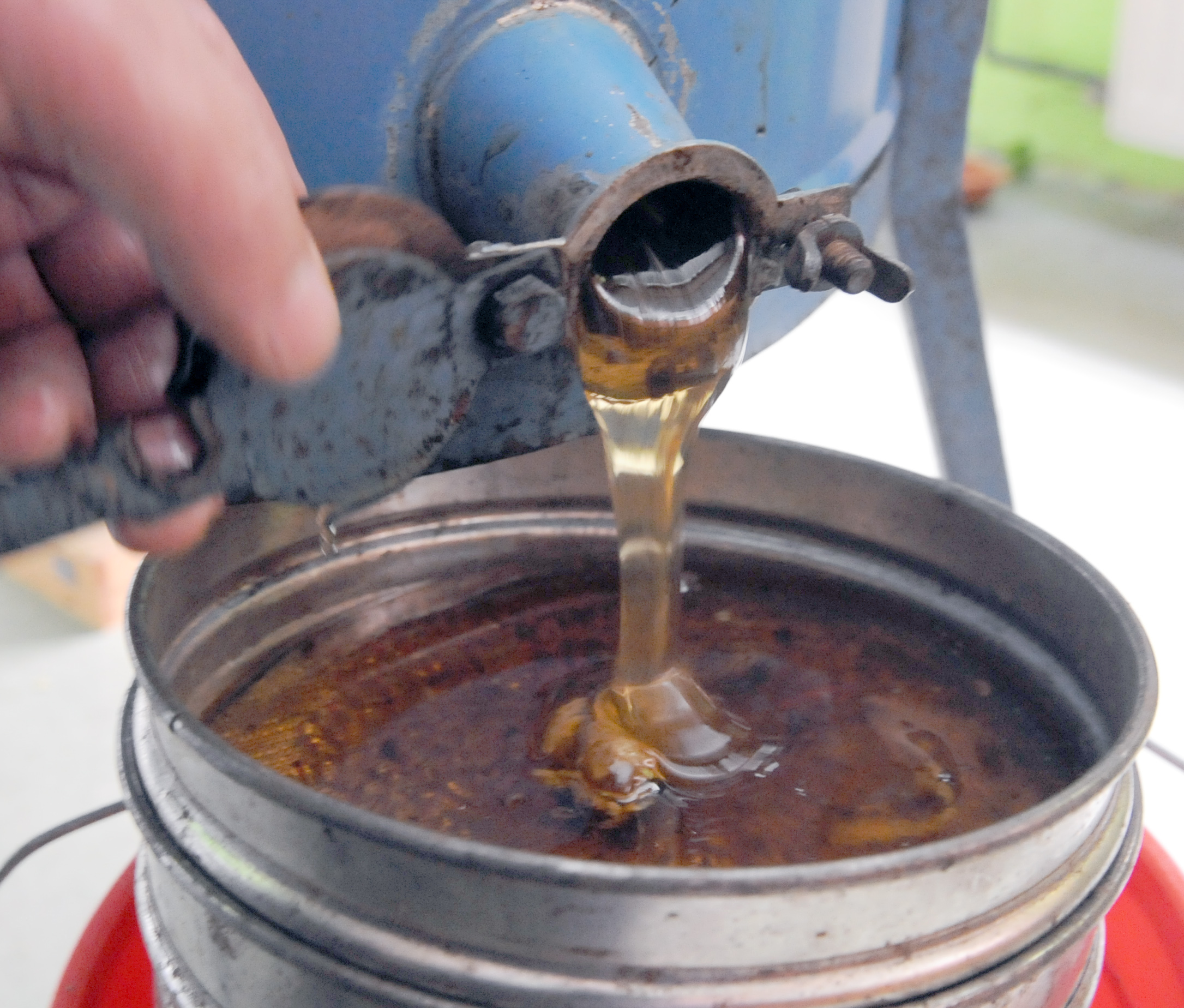 Slovenskí včelári získali na prestížnej svetovej súťaži v Čile 14 medailí