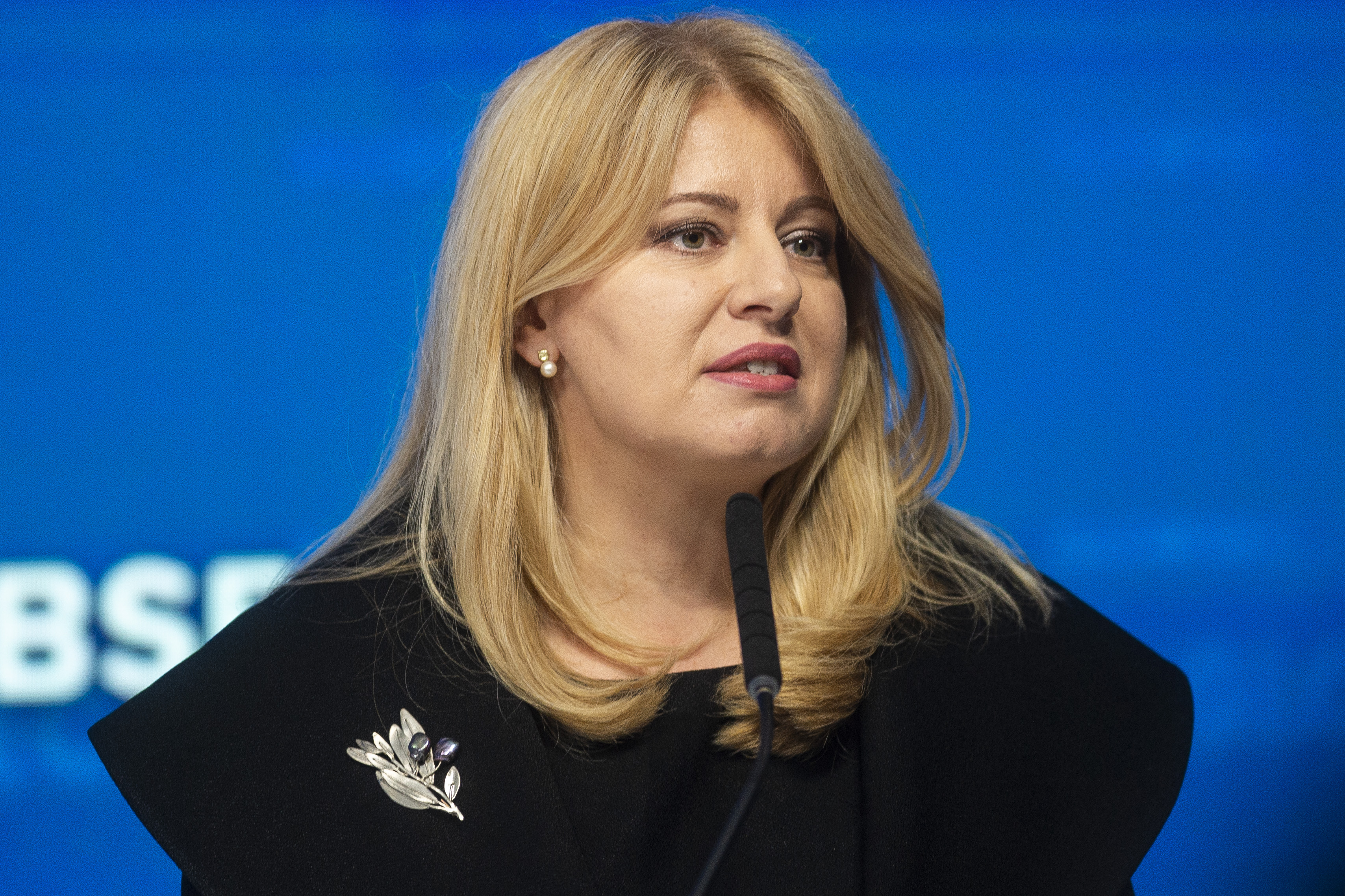 Čaputová o nelegálnej migrácii: Nemyslím si, že je dôvod na paniku. Je to vážny problém nielen na Slovensku