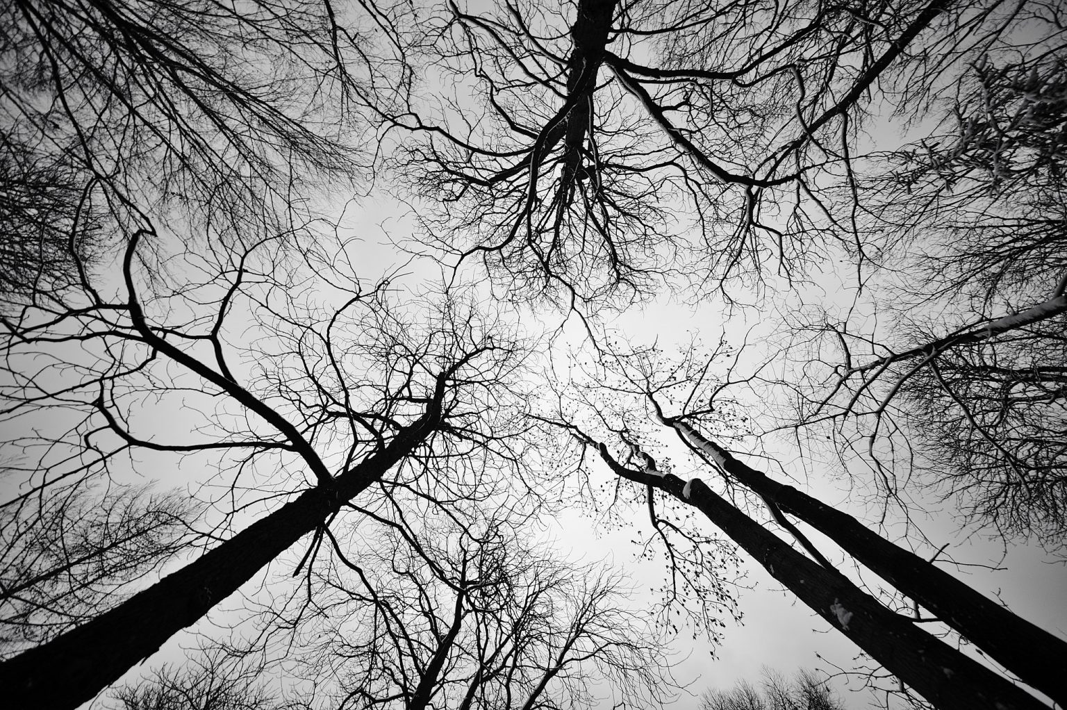 Foto: Bozanowski/flickr.com