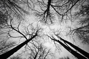 Kríže, ktoré nesmú zostať bez mena