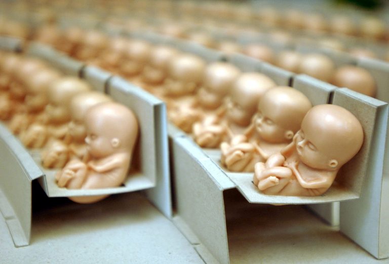 Tvrdenia Denníka N sú nepravdivé a poškodzujú našu prácu, tvrdí Fórum života