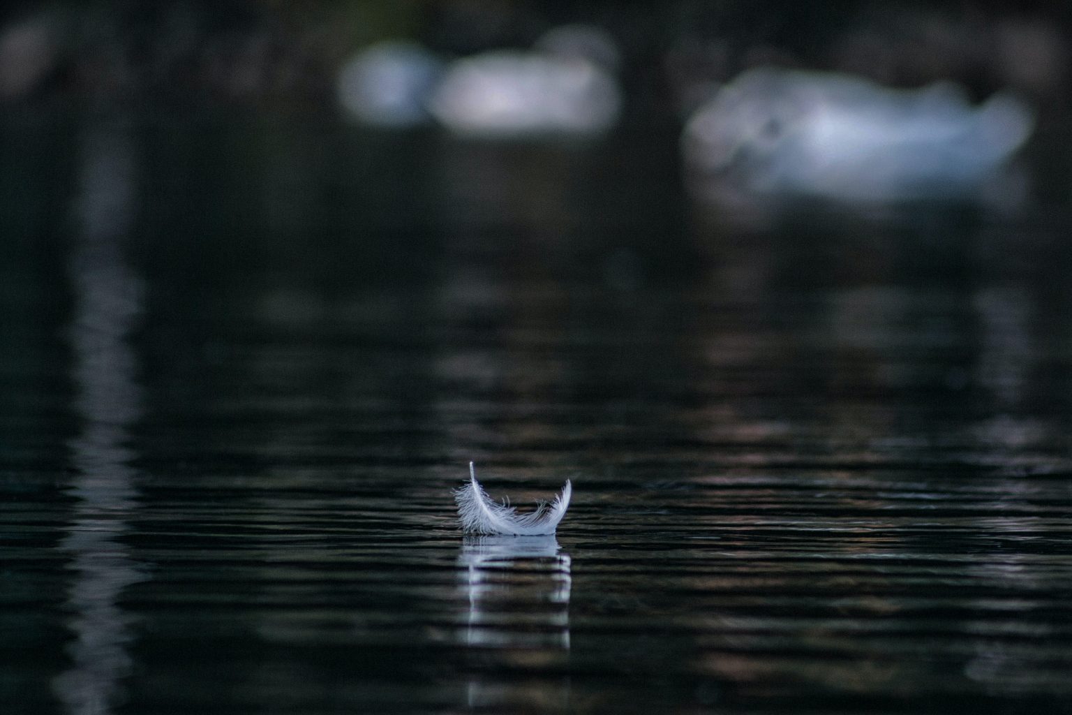 Ilustračný obrázok. Foto: unsplash/Andraz Lazic