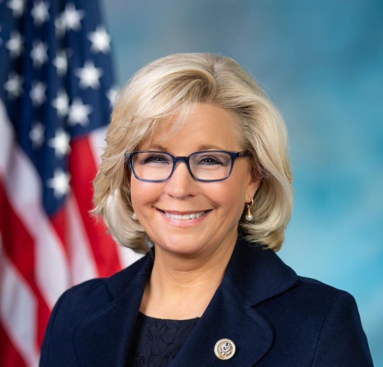 Republikánski kongresmani vyzvali na vyšetrovanie Liz Cheneyovej