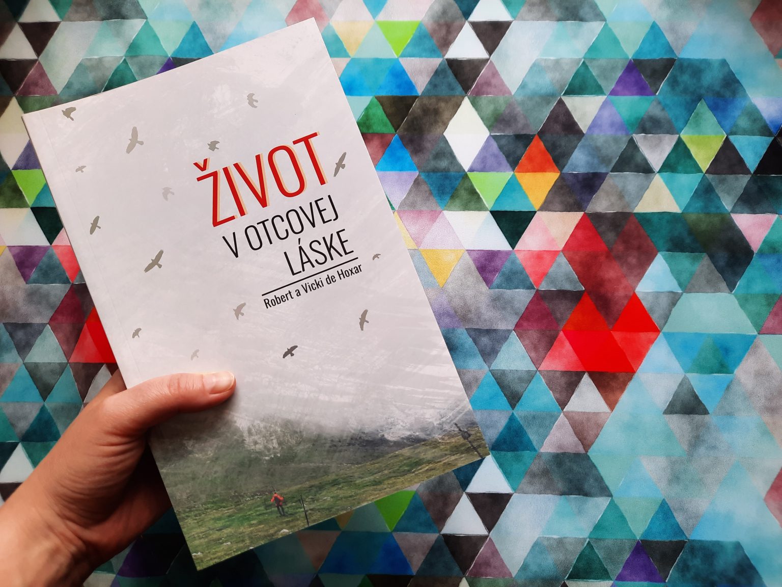 Zdroj: Otcovo srdce pre Slovensko