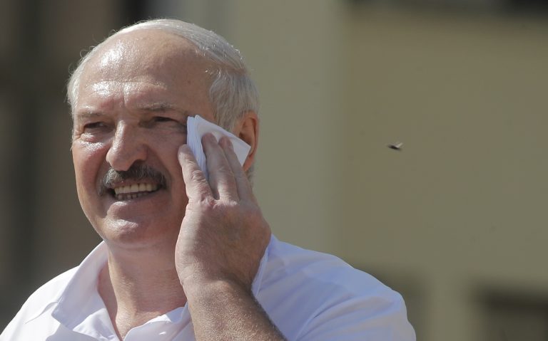 Sršne ázijské predstavujú vysokú hrozbu pre včelárov. Ilustračné foto. Foto: tasr/ap