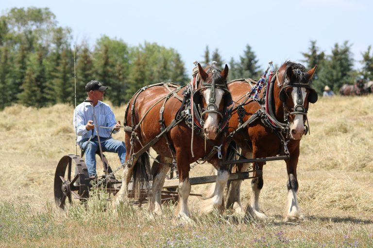 Sudca vo Wisconsine pozastavil štátnu pomoc farmárom inej farby pleti, uznal žalobu o diskriminácii