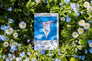 Víkendové čítanie: Prísľub úsvitu