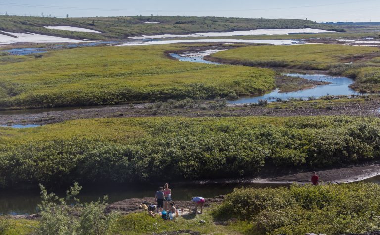 Tundra na Tajmýrskom polostrove. Foto: Flickr/Ninara (https://www.flickr.com/photos/ninara/)