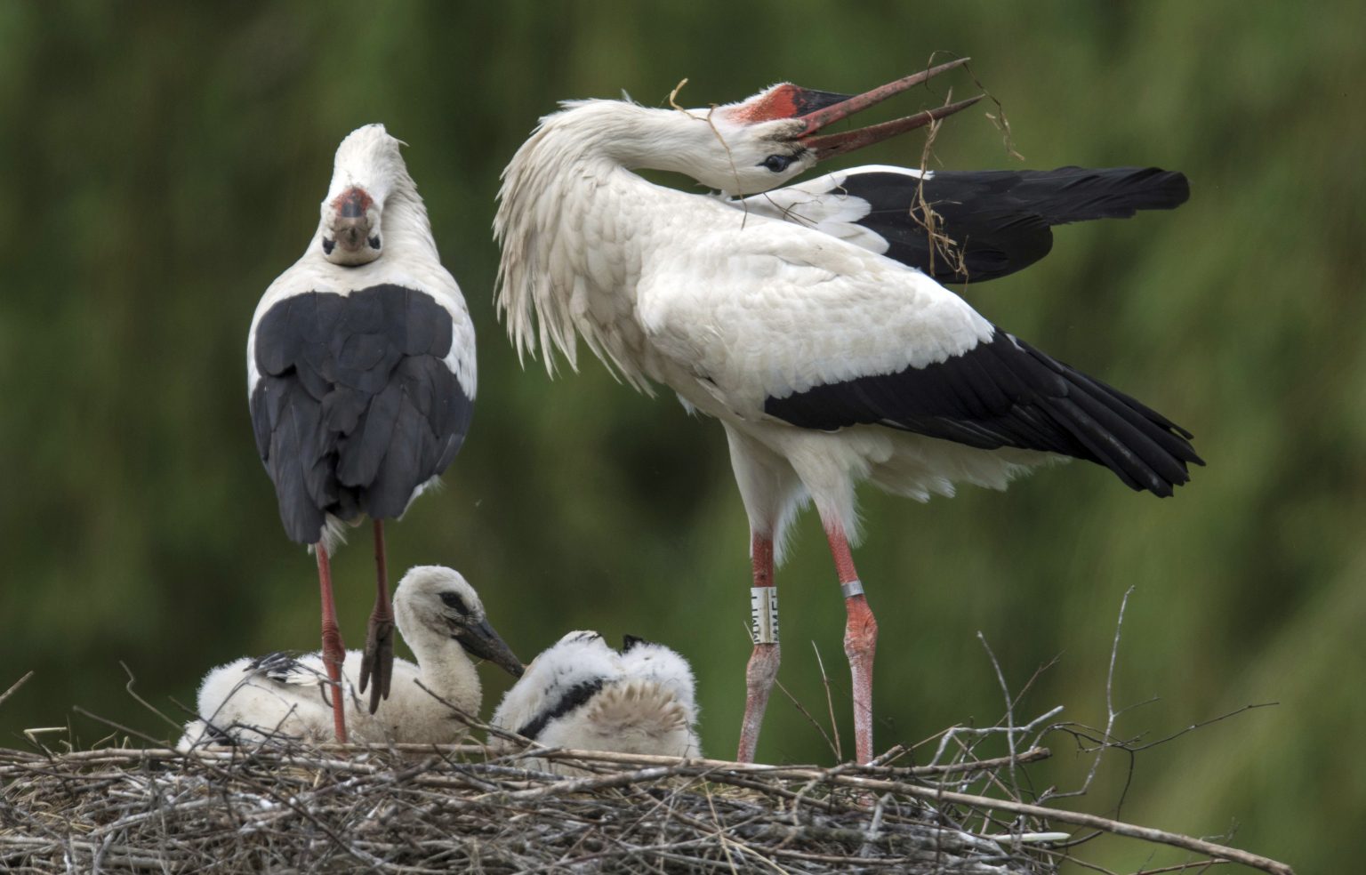 Ilustračný obrázok. Foto: TASR/AP