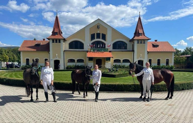 Na medzinárodnej chovateľskej výstave pri príležitosti 100. výročia založenia Národného Žrebčína Topoľčianky. Foto: Hucule z Kráľovskej Lúky/TASR