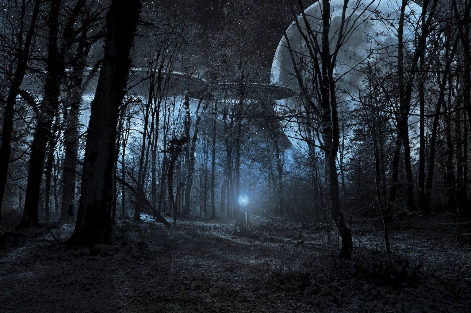 Ilustračný obrázok. Foto: Pixabay.com
