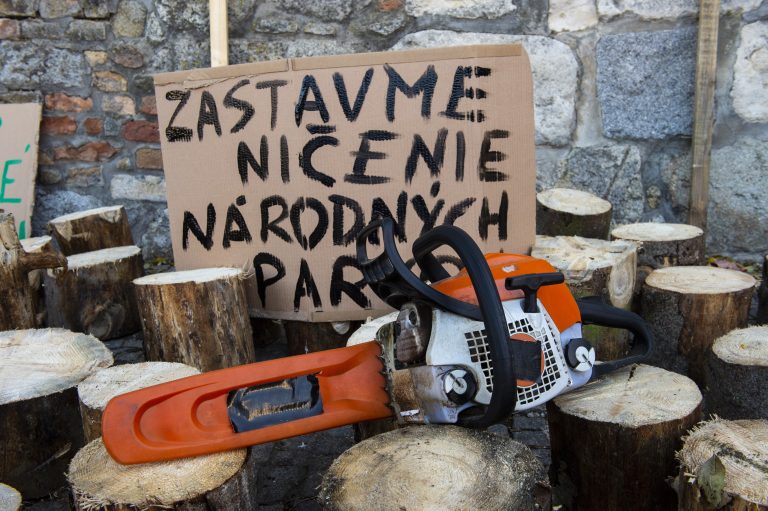 Prieskum: Väčšina Slovákov je proti ťažbe dreva v národných parkoch