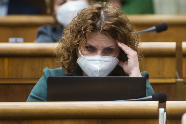 Nefunkčná koalícia: Poslanci ani v opätovnej voľbe nezvolili komisárku pre deti