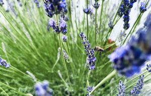 Reakcia na Pavla Kameníka: Kde boli všetci tí odborníci, ktorí dnes už neskoro kričia?