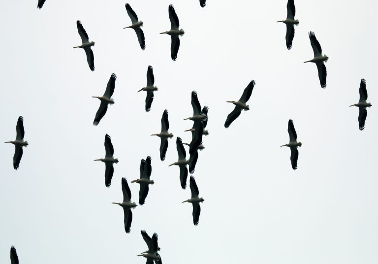 Ilustračný obrázok: Foto: TASR/Pavol Remiaš