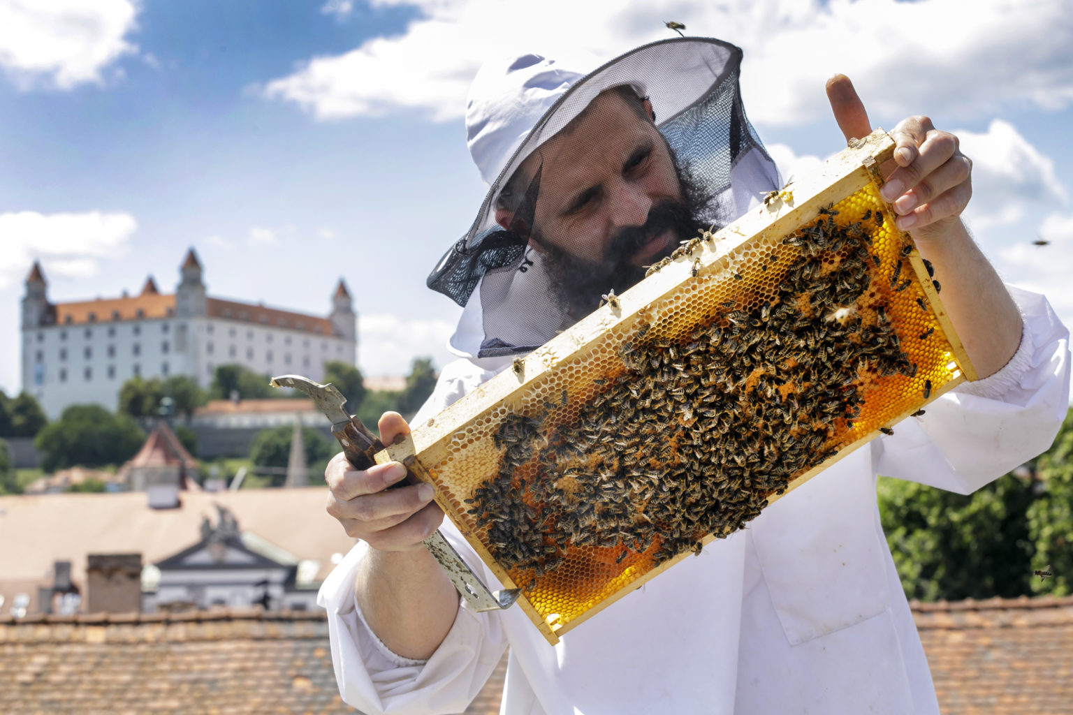 Na snímke včelár Róbert Kňažko, ktorý sa o mestské včely stará. V Bratislave 25. júna 2020. Foto: TASR/Dano Veselský