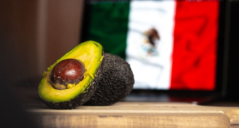 Ilustračný obrázok. Foto: Martin Minka