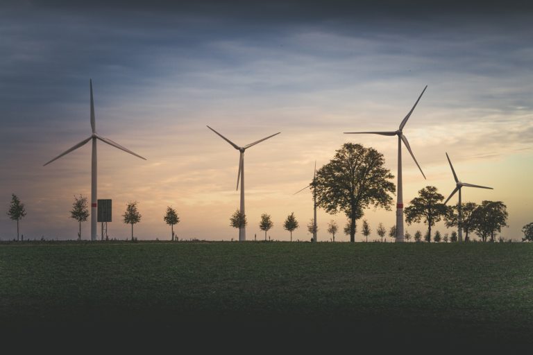 Nemecko súrne potrebuje veternú energiu. Aj na úkor ochrany prírody, priznáva