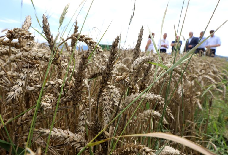 O potravinách budeme musieť začať uvažovať ako o novej rope