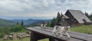 Letný seriál: Ako si čo najlepšie užiť Kráľovu hoľu a jej okolie