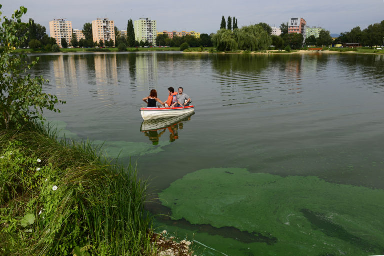 Pozor pri kúpaní. Prehltnutie siníc môže vyvolať  črevné problémy či kŕče