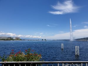 Ženevský letný zápisník: O vraždách, osvietencoch, syre aj cene mäsa