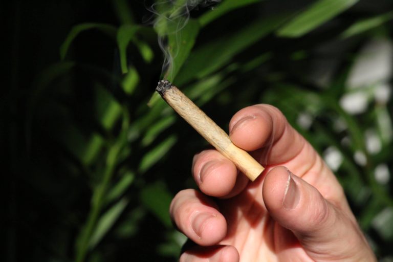 Zoznam omamných látok by sa mohol rozšíriť, napríklad o koncentrát konopy