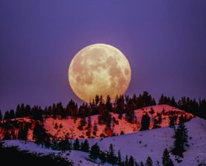 Objavte lunarpunk, novú filozofiu v kryptomenách