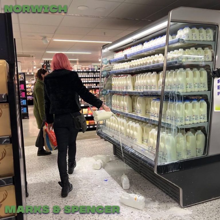 Spojené kráľovstvo: Kontroverzní aktivisti  rozlievali mlieko. Volajú po budúcnosti založenej na rastlinách