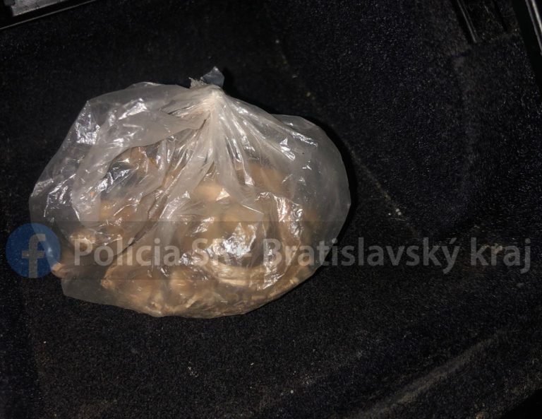 Bratislava: Vodič šoféroval pod vplyvom kokaínu, v aute viezol lysohlávky