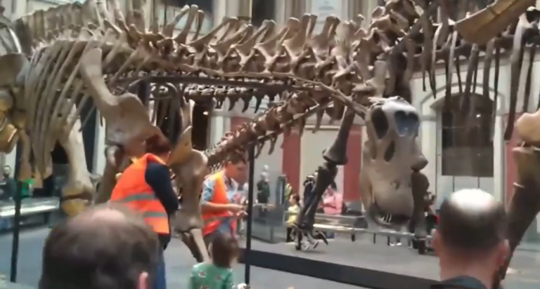 Klimatickí aktivisti sa tentoraz prilepili k tyčiam držiacim kostru dinosaura