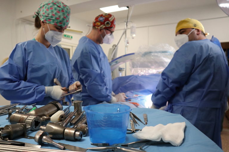 Slováci preferujú stranu, ktorá kladie dôraz na zdravotníctvo a viac sa zaujíma o domáce problémy ako o Ukrajinu