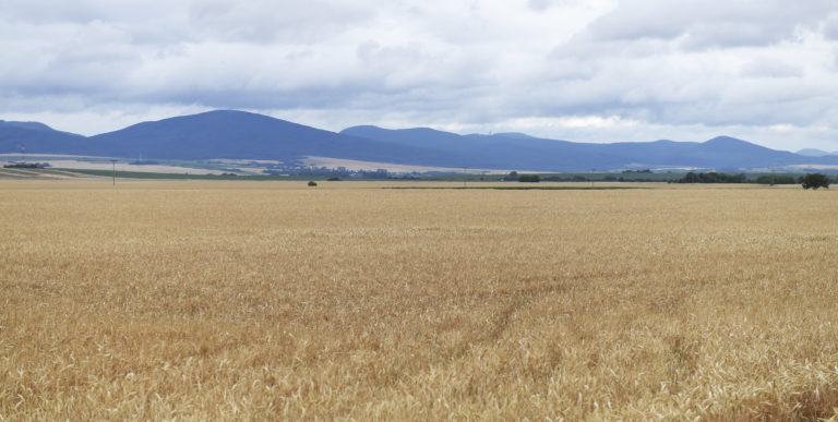 Príprava strategického územia pre Volvo na východe pokračuje, zriaďujú stavenisko
