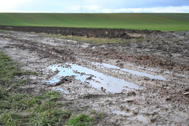 Blatová cesta k vyhliadkovej veži pri obci Jablonec. FOTO TASR - Lukáš Grinaj