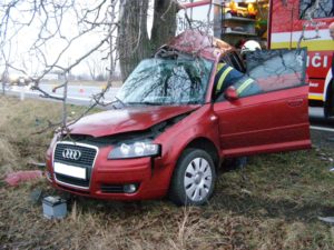 Stromy pri cestách podľa Lunterovho ekológa zvyšujú bezpečnosť. Výskumy ale vravia opak