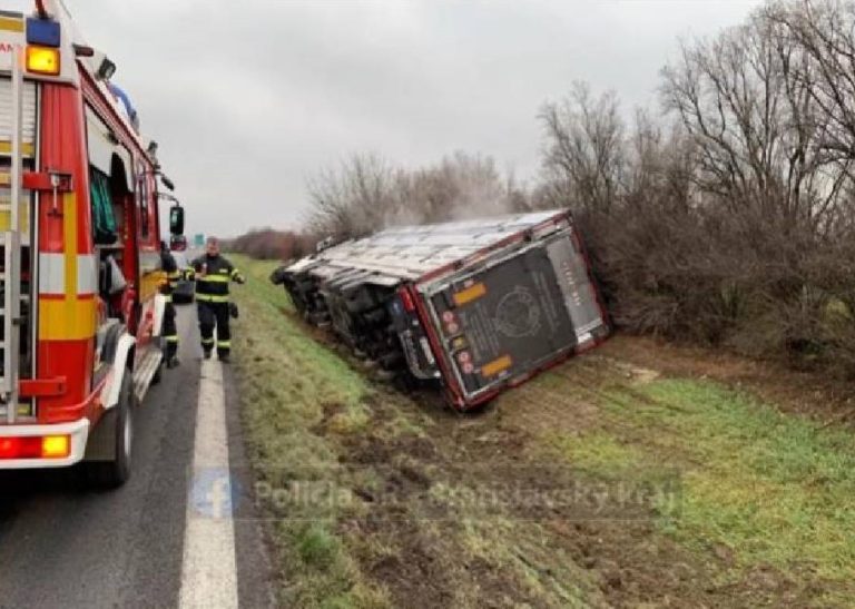Na diaľnici D1 v smere do Bratislavy sa prevrátilo vozidlo s býkmi