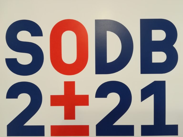 Sčítanie domácností: Dve tretiny z nich tvoria rodiny. Ľudia však vo väčšej miere žijú sami