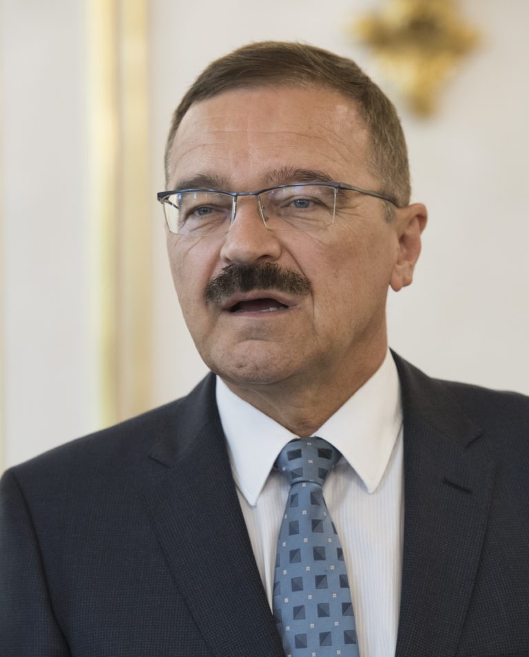 Veľvyslanec v Maďarsku Pavol Hamžík. Foto: Pavel Neubauer/TASR