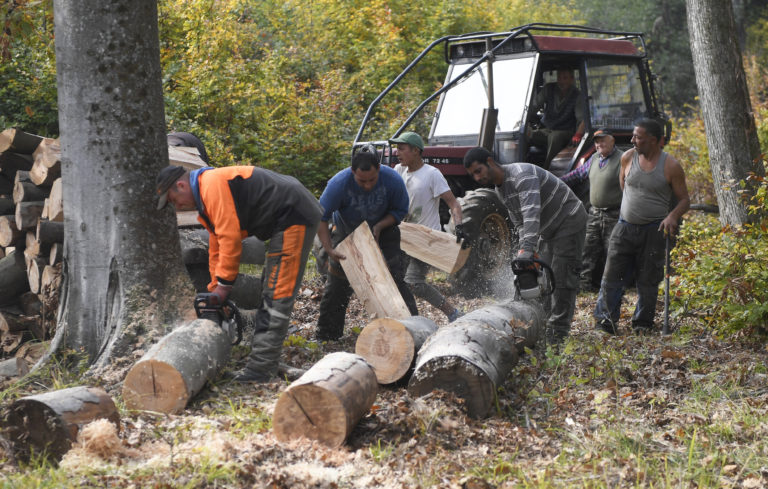 Envirorezort vníma protipožiarne lesné cesty ako problémové. Tvrdí, že slúžili na zvážanie dreva