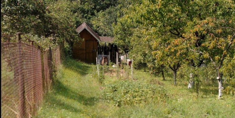 Vydržanie pozemku má efektívnejšie pravidlá