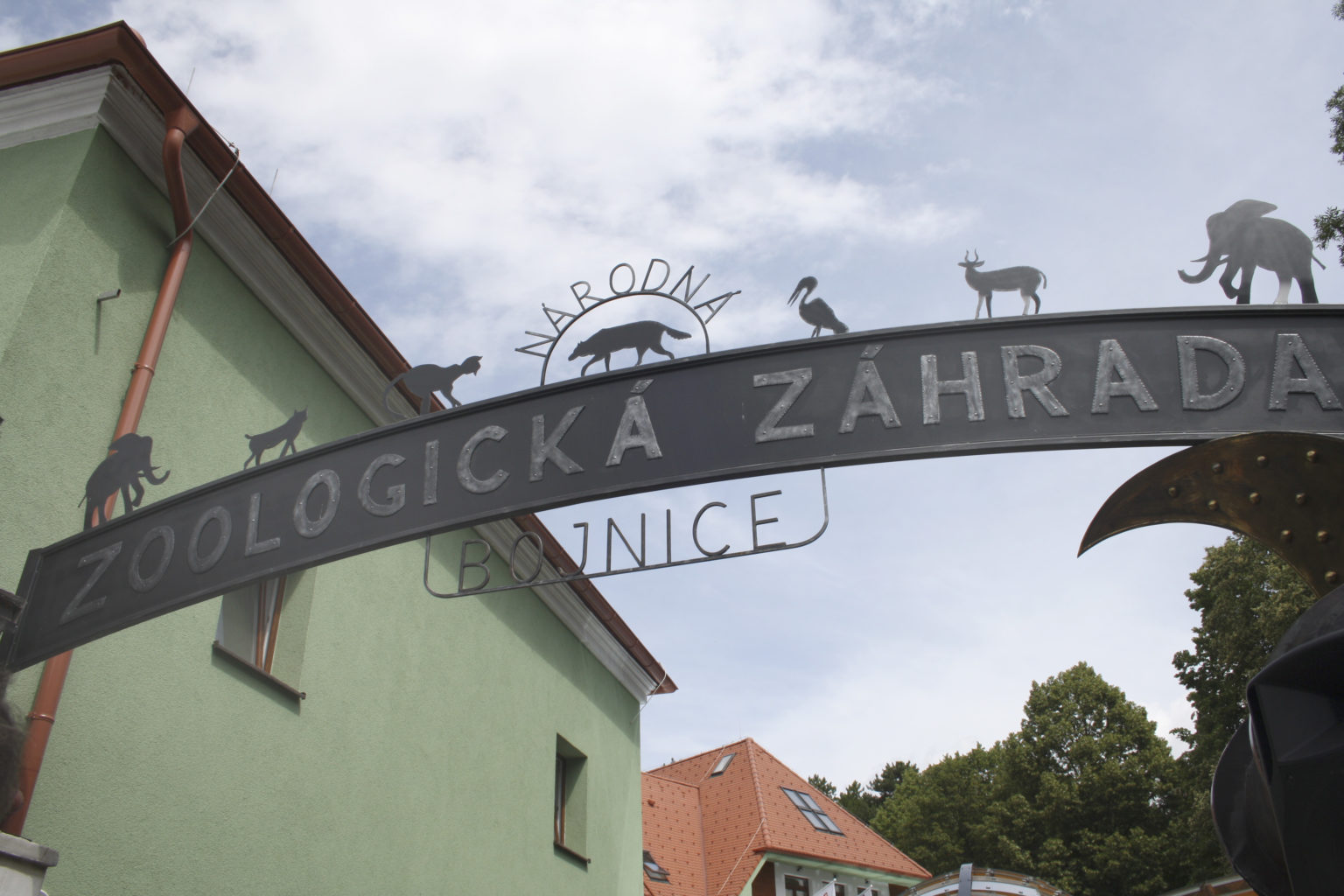 V bojnickej ZOO majú nové obyvateľky. Foto: Alexandra Moštková/TASR