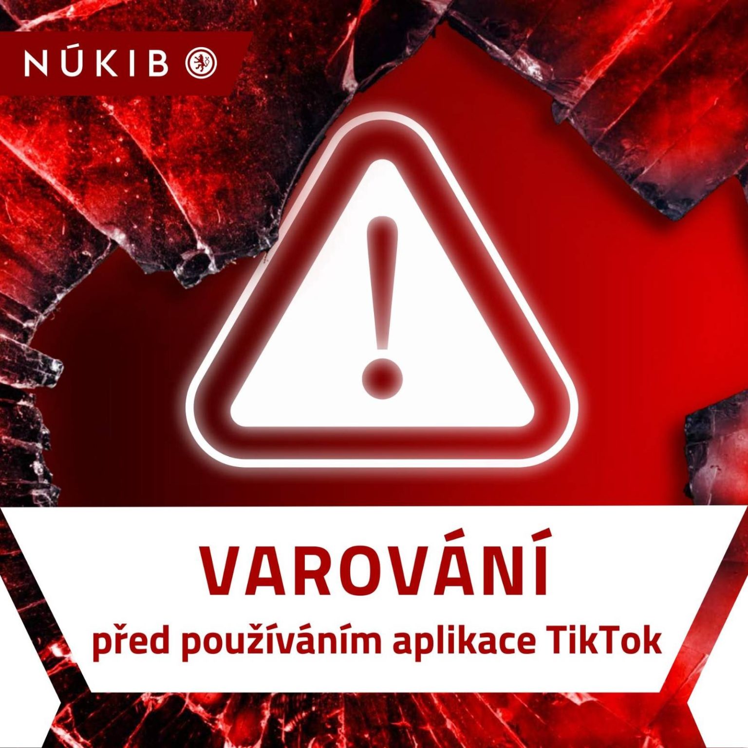 Foto: Národní úřad pro kybernetickou a informační bezpečnost/FB