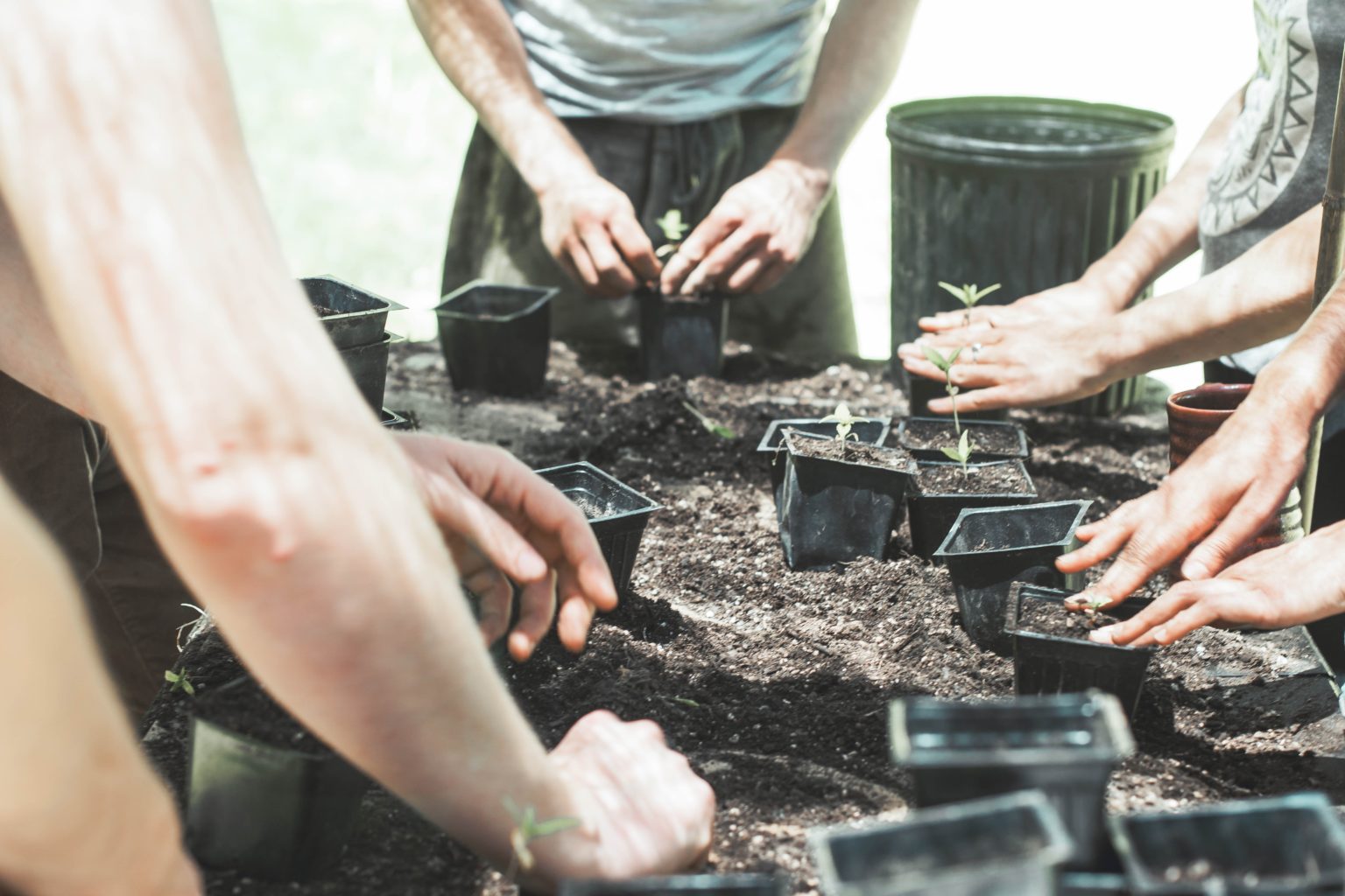 Trenčianske domácnosti môžu získať bezplatne 200 litrov certifikovaného kompostu. Foto: Unsplash