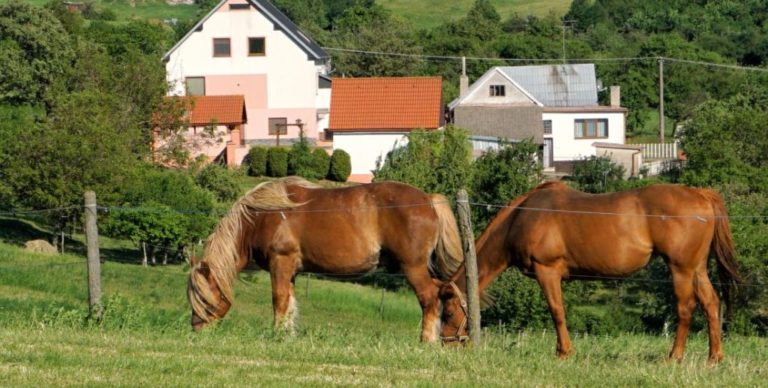 Dedinka Bukovec oslavuje 430 rokov