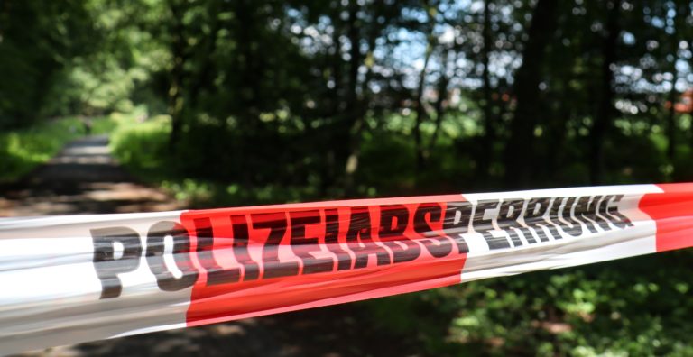 Dve nemecké školáčky dobodali 12-ročné dievča!