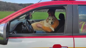 Pátranie so šťastným koncom. Vystrašená Maggie sa vrhla do náručia záchrancom