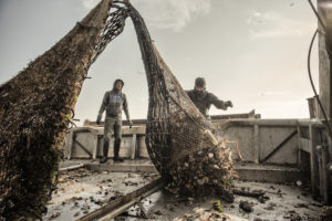 Fuel Costs Ground Adriatic Fishermen