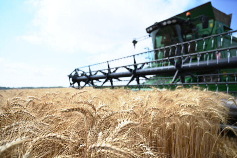 Vláda predĺžila zákaz dovozu štyroch komodít z Ukrajiny, vrátane pšenice