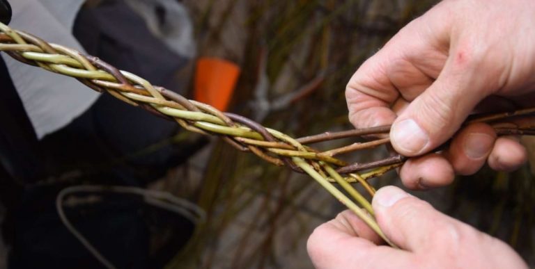Tak čo, upletieme si korbáč?